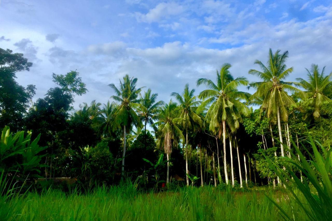 Chemel Homestay Kuta  Zewnętrze zdjęcie