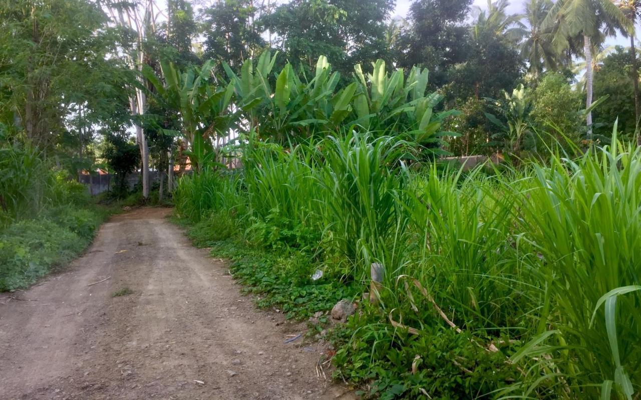 Chemel Homestay Kuta  Zewnętrze zdjęcie